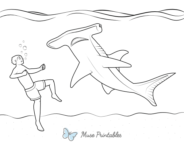 Hammerhead Shark and Swimmer Coloring Page