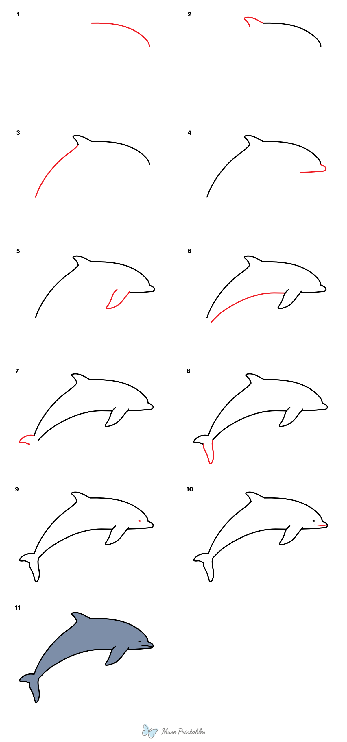 How to Draw a Simple Dolphin - Printable Tutorial