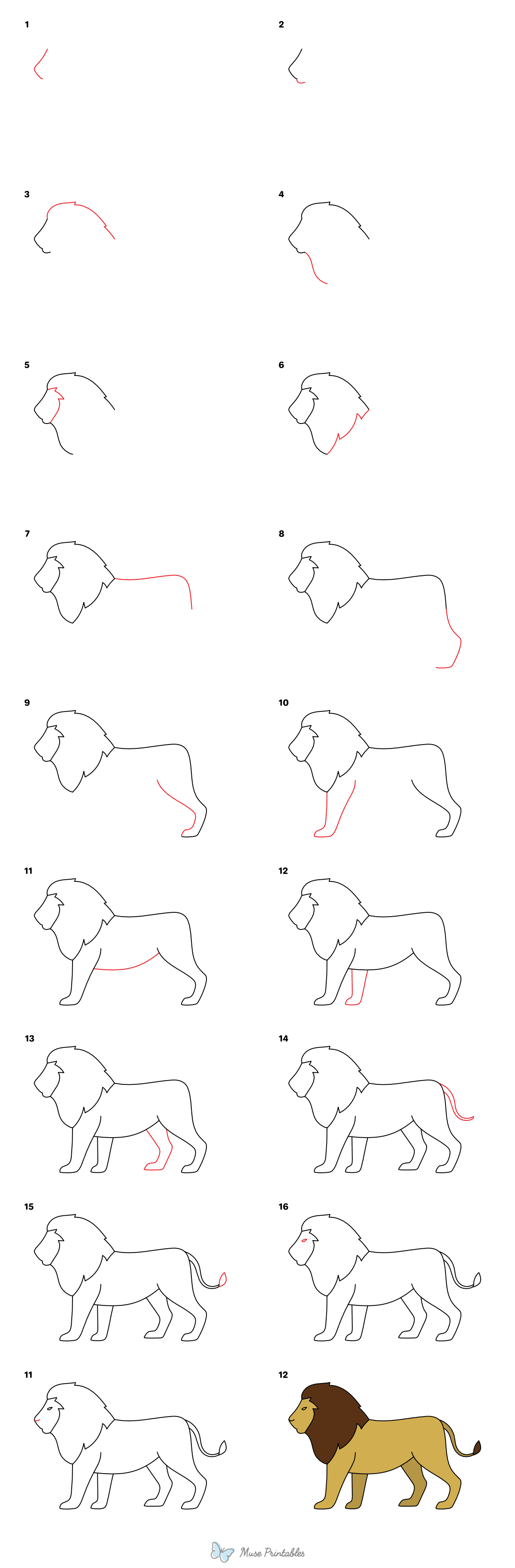 How to Draw a Simple Lion - Printable Tutorial