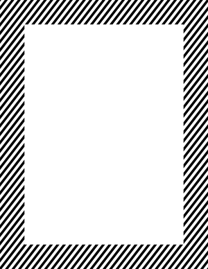 Black And White Mini Diagonal Striped Border