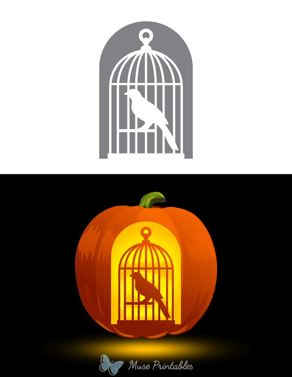 Bird in Cage Pumpkin Stencil