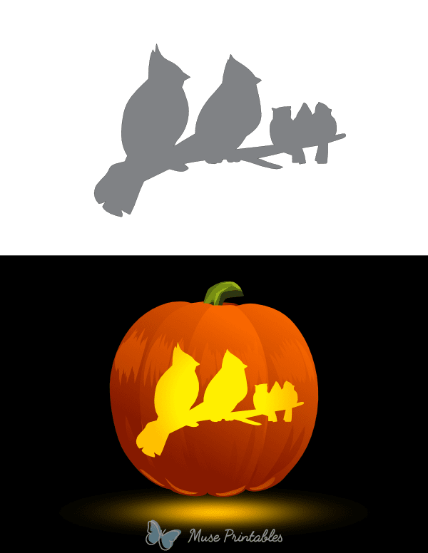 Cardinal Family on Branch Pumpkin Stencil