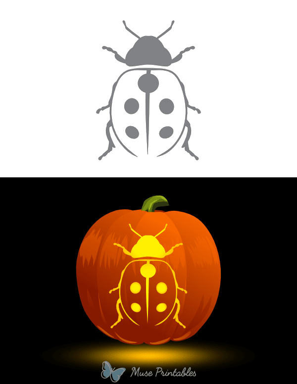 Detailed Ladybug Pumpkin Stencil