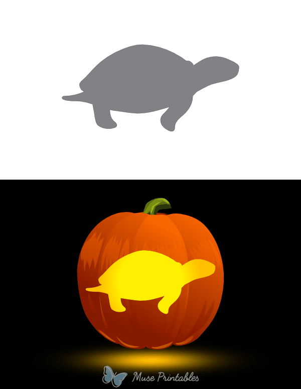 Easy Turtle Outline Pumpkin Stencil