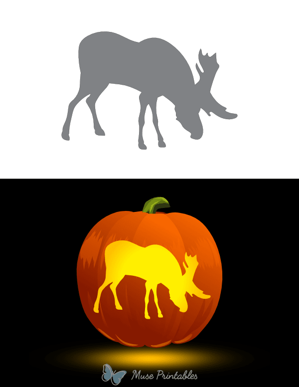 Grazing Moose Pumpkin Stencil