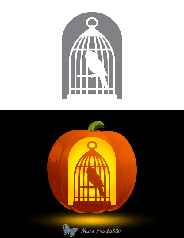 Parrot in a Cage Pumpkin Stencil