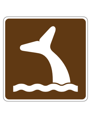 Whale Viewing Campground Sign