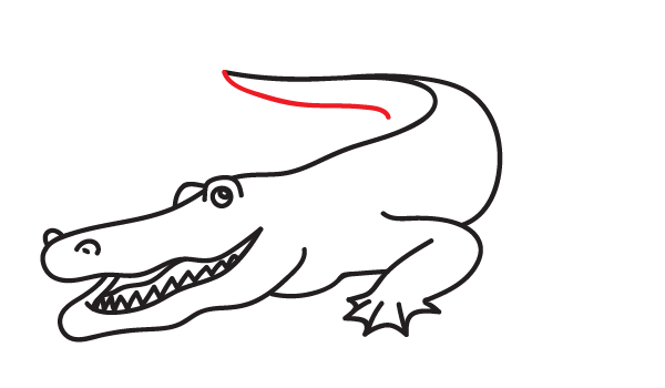 How to Draw an Alligator - Step 15