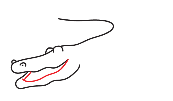 How to Draw an Alligator - Step 7