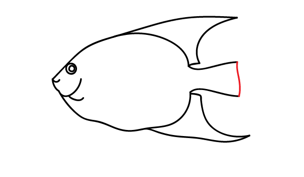 How to Draw an Angelfish - Step 10