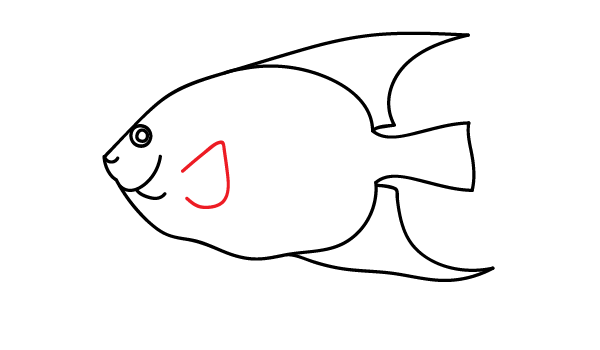 How to Draw an Angelfish - Step 11