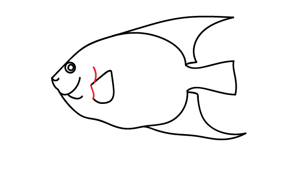 How to Draw an Angelfish - Step 12