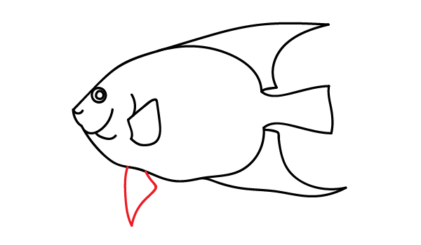 How to Draw an Angelfish - Step 13