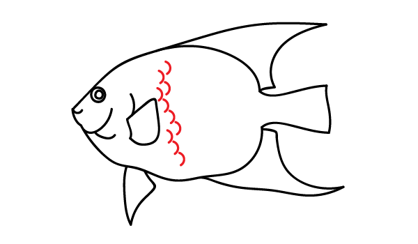 How to Draw an Angelfish - Step 14