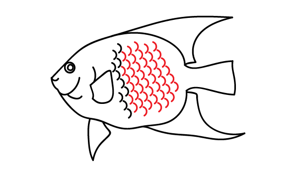 How to Draw an Angelfish - Step 15
