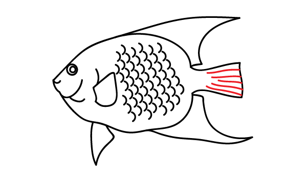 How to Draw an Angelfish - Step 16