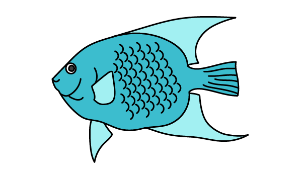How to Draw an Angelfish - Step 17