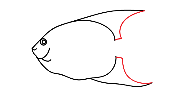 How to Draw an Angelfish - Step 8