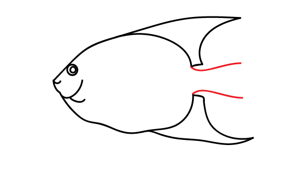How to Draw an Angelfish - Step 9