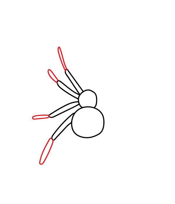 How to Draw a Black Widow Spider - Step 4