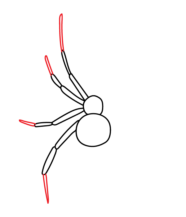 How to Draw a Black Widow Spider - Step 5