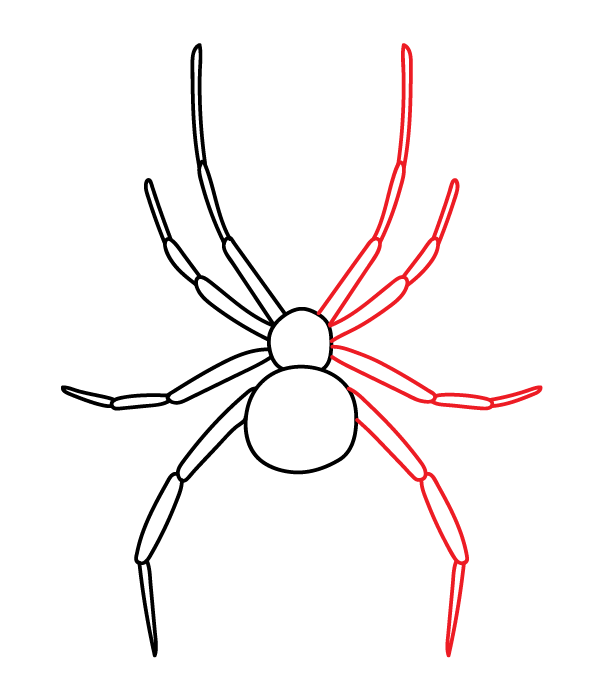 How to Draw a Black Widow Spider - Step 6