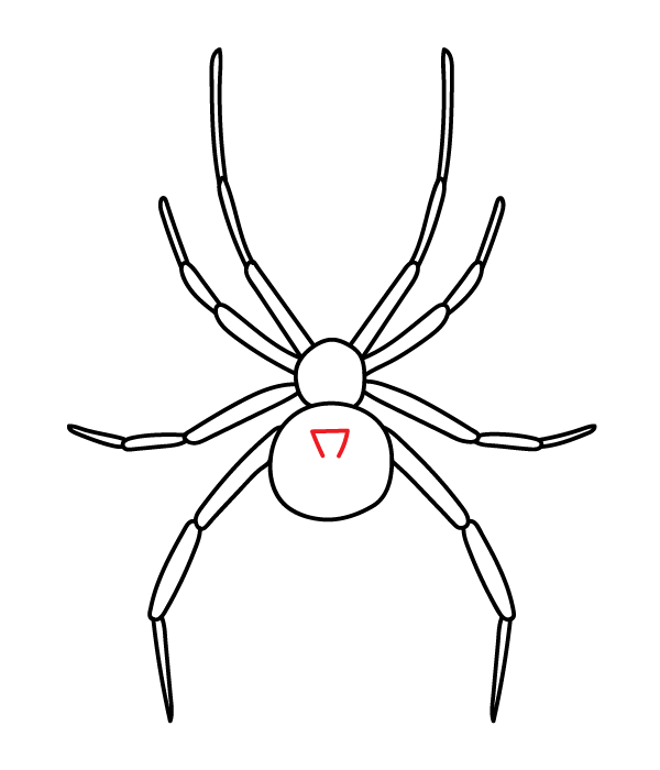 How to Draw a Black Widow Spider - Step 7