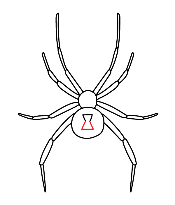 How to Draw a Black Widow Spider - Step 8