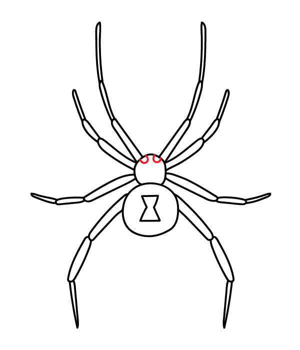How to Draw a Black Widow Spider - Step 9