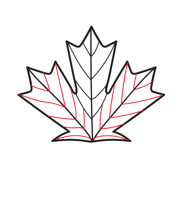 How to Draw a Canadian Maple Leaf - Step 10