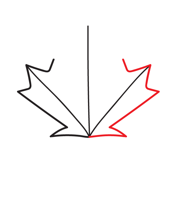 How to Draw a Canadian Maple Leaf - Step 6