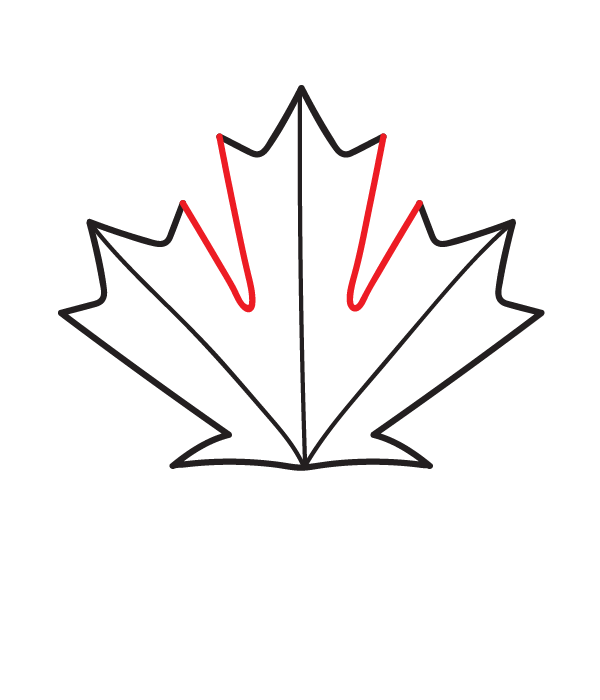 How to Draw a Canadian Maple Leaf - Step 8
