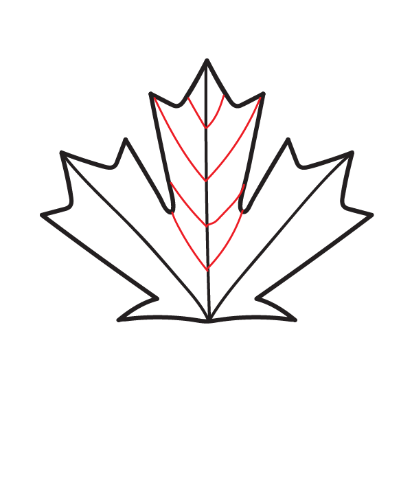 How to Draw a Canadian Maple Leaf - Step 9