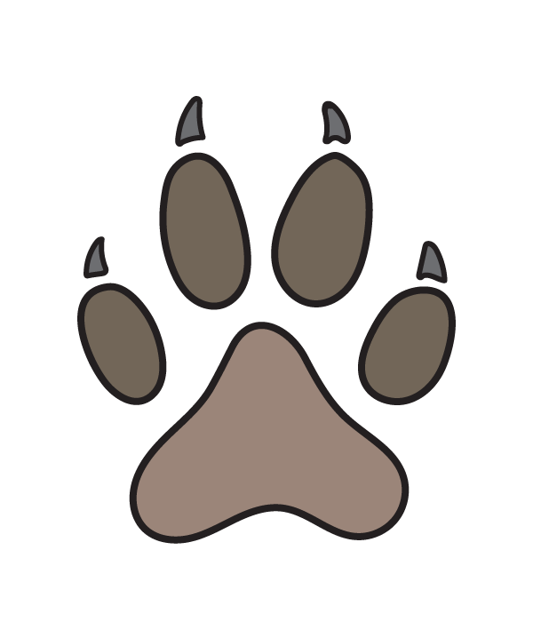 How to Draw a Cat Paw Print - Step 10