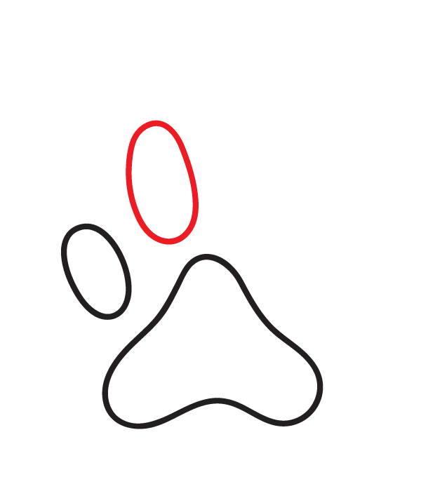 How to Draw a Cat Paw Print - Step 5
