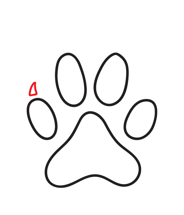 How to Draw a Cat Paw Print - Step 8