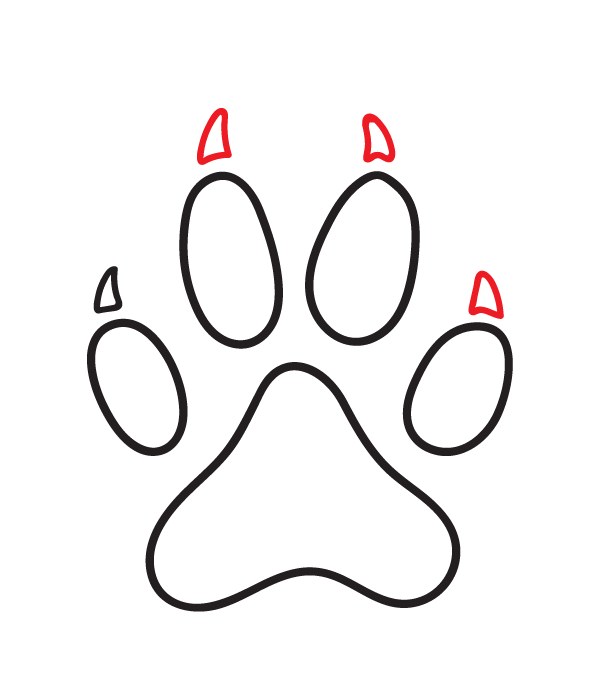 How to Draw a Cat Paw Print - Step 9