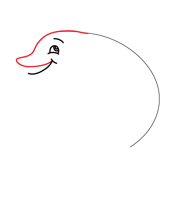 How to Draw a Cute Dolphin - Step 4