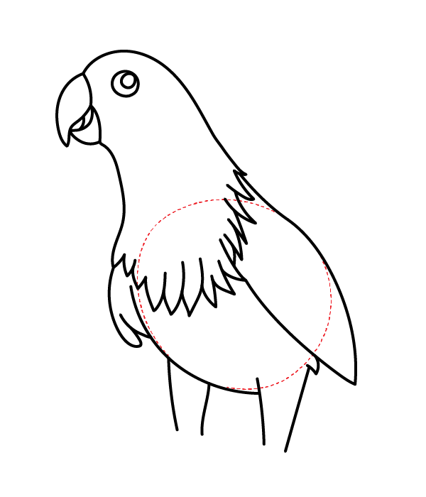How to Draw an Eclectus Parrot - Step 17