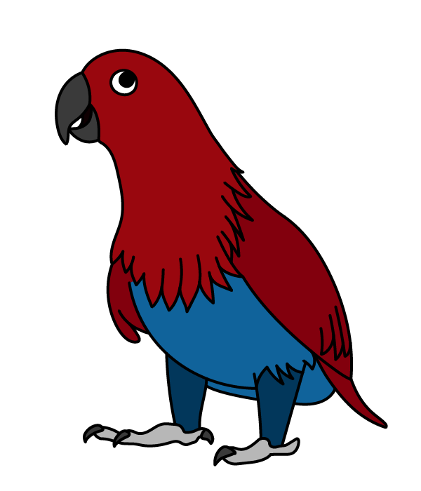 How to Draw an Eclectus Parrot - Step 28