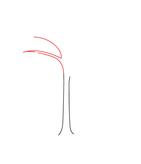 How to Draw a Fall Tree - Step 2