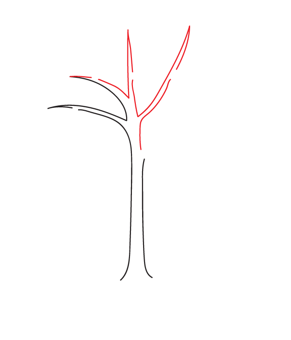 How to Draw a Fall Tree - Step 3