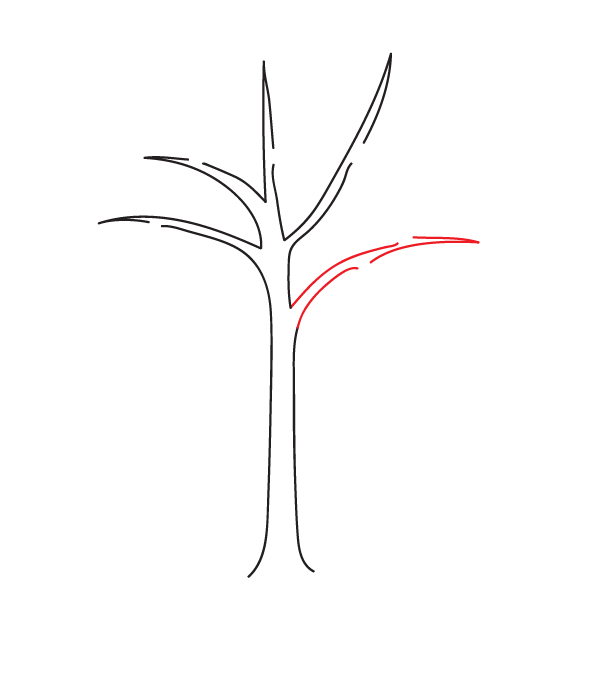 How to Draw a Fall Tree - Step 4
