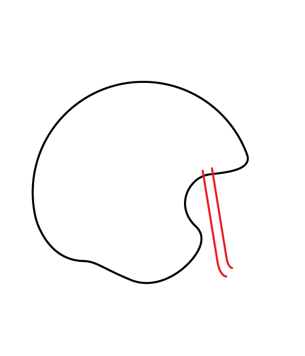 How to Draw a Football Helmet - Step 4