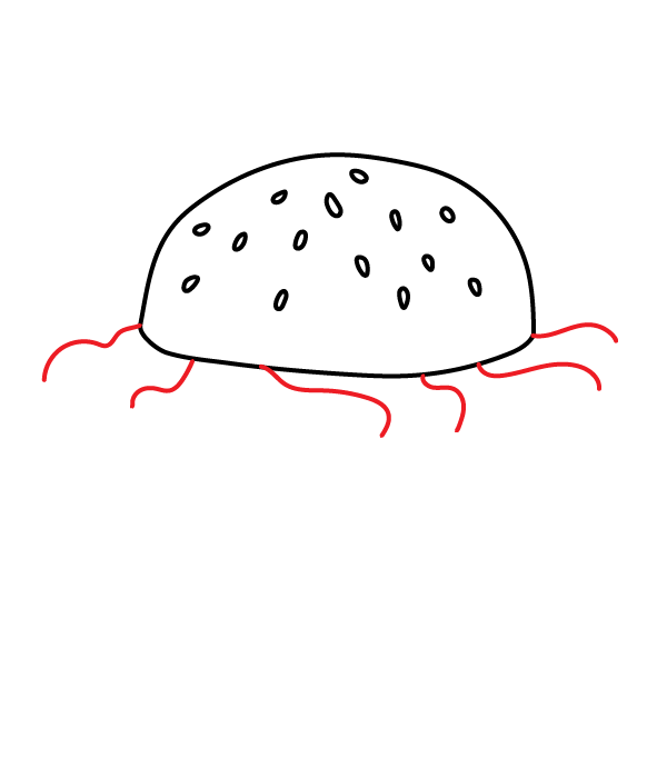 How to Draw a Hamburger - Step 4