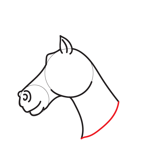 How to Draw a Horse Head - Step 12