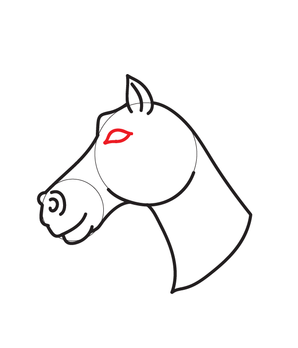 How to Draw a Horse Head - Step 13