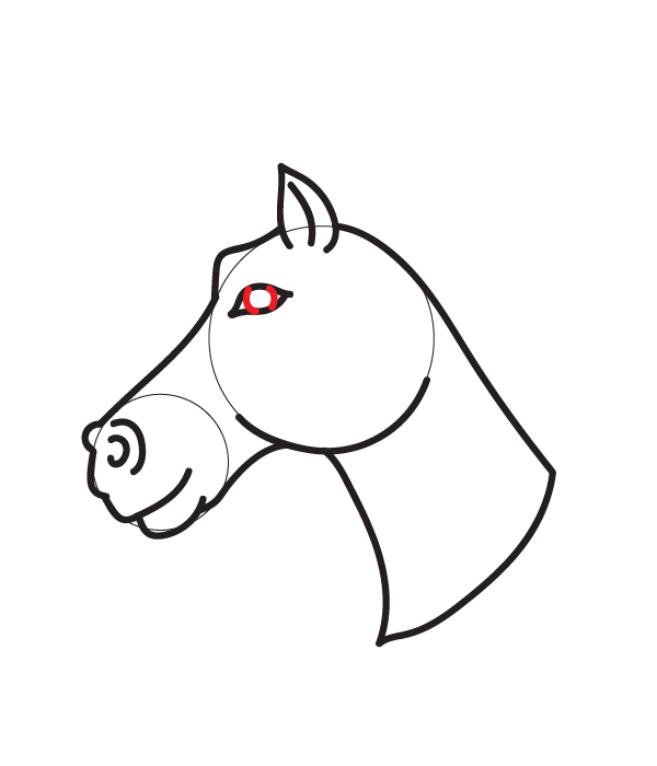 How to Draw a Horse Head - Step 14