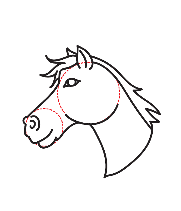 How to Draw a Horse Head - Step 17