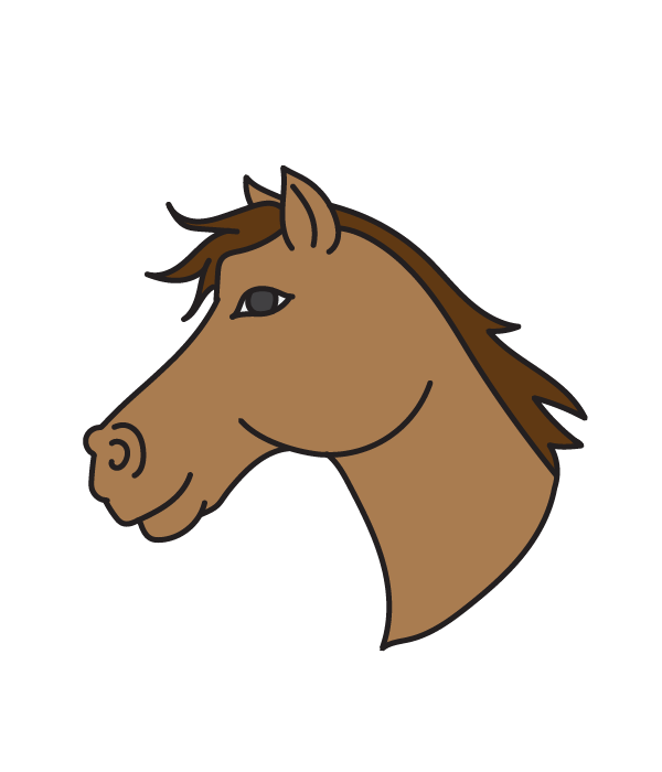 How to Draw a Horse Head - Step 18